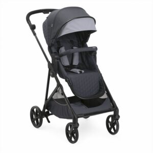 Seety Stroller (Grey)