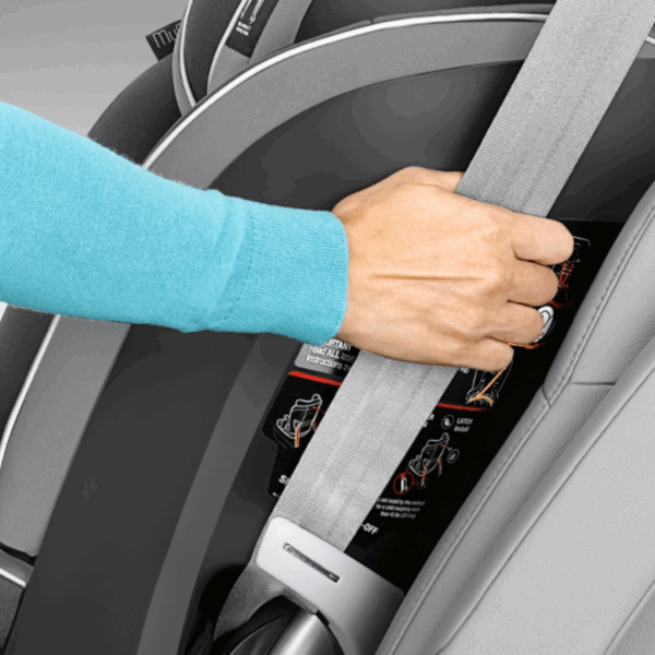 MyFit Zip (Nightfall) - Image 6