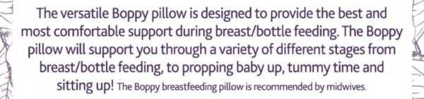 Boppy Nursing Pillow (Denim Animals) - Image 4