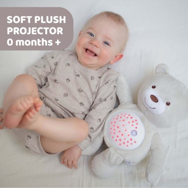 Baby Bear (Neutral) - Image 2